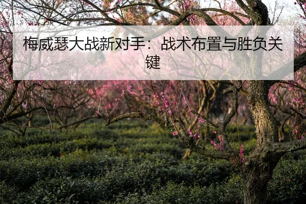 梅威瑟大战新对手：战术布置与胜负关键